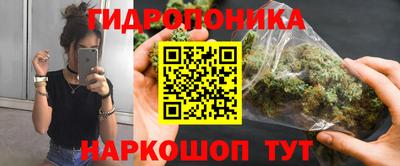 PSILOCYBIN Кунгур