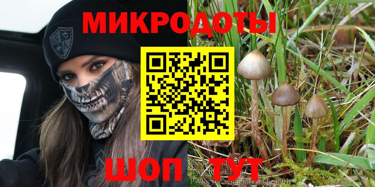 Галлюциногенные грибы Cubensis  даркнет сайт  Долгопрудный  Вход с VPN 