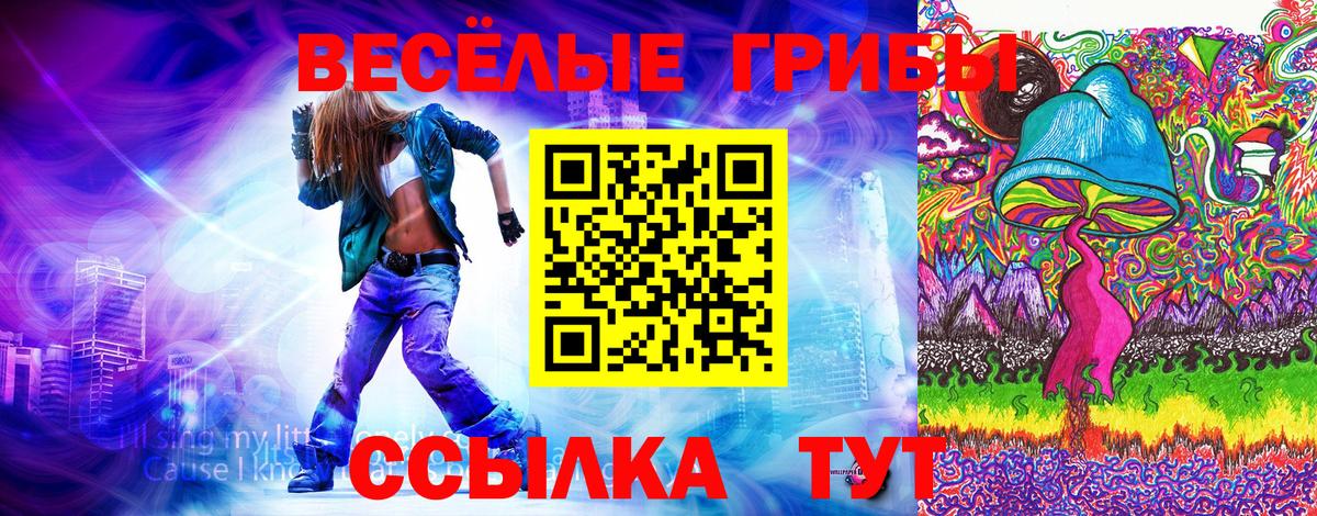 Галлюциногенные грибы GOLDEN TEACHER Долгопрудный