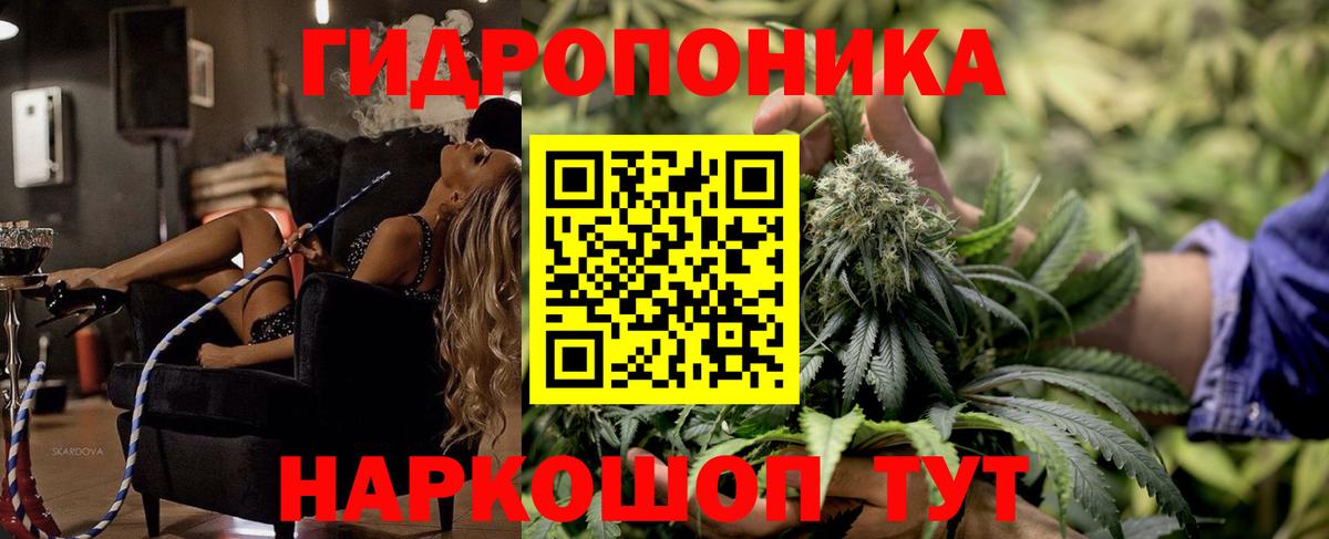 Долгопрудный  Каннабис марихуана  Вход с VPN  Бошки марихуана Bruce Banner  Бошки Шишки марихуана 